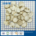 Freeze Dried Button Mushroom Slice